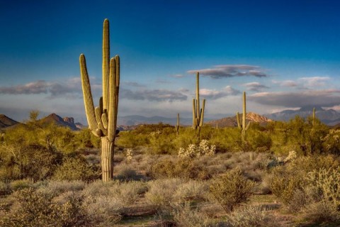 Arizona-Sunset