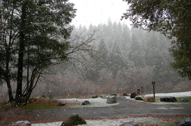 Snow at Indian Valley Campground, CA